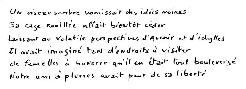 01-18-10_texte-l'oiseau-sombre